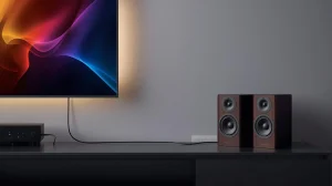 Cara Menghubungkan TV ke Speaker Aktif