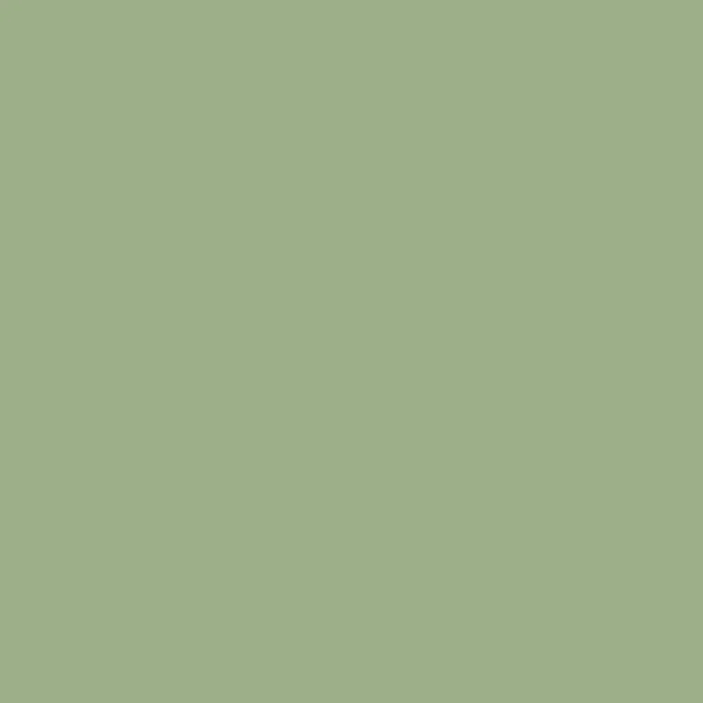 sage green warna cat rumah yang bagus