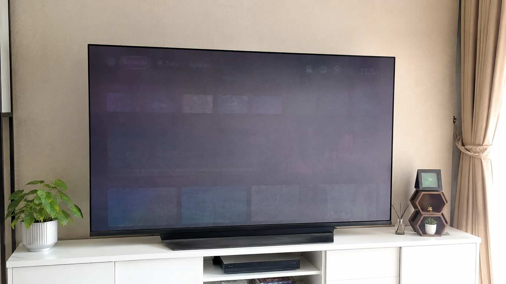 TV Burn In OLED